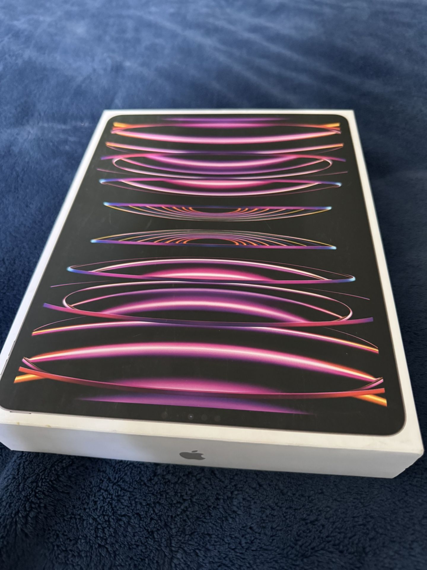iPad Pro 12.9 (6th Generation) 256GB With Apple Pencil