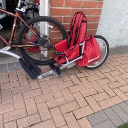 Mountain Bike  Break Disc With Weehoo  Kids Trailer 