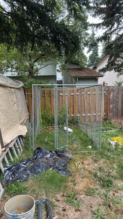 Dog Kennel