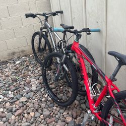 Trek Marlins
