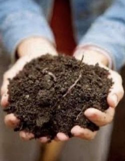 Top Soil Black Dirt With Sand