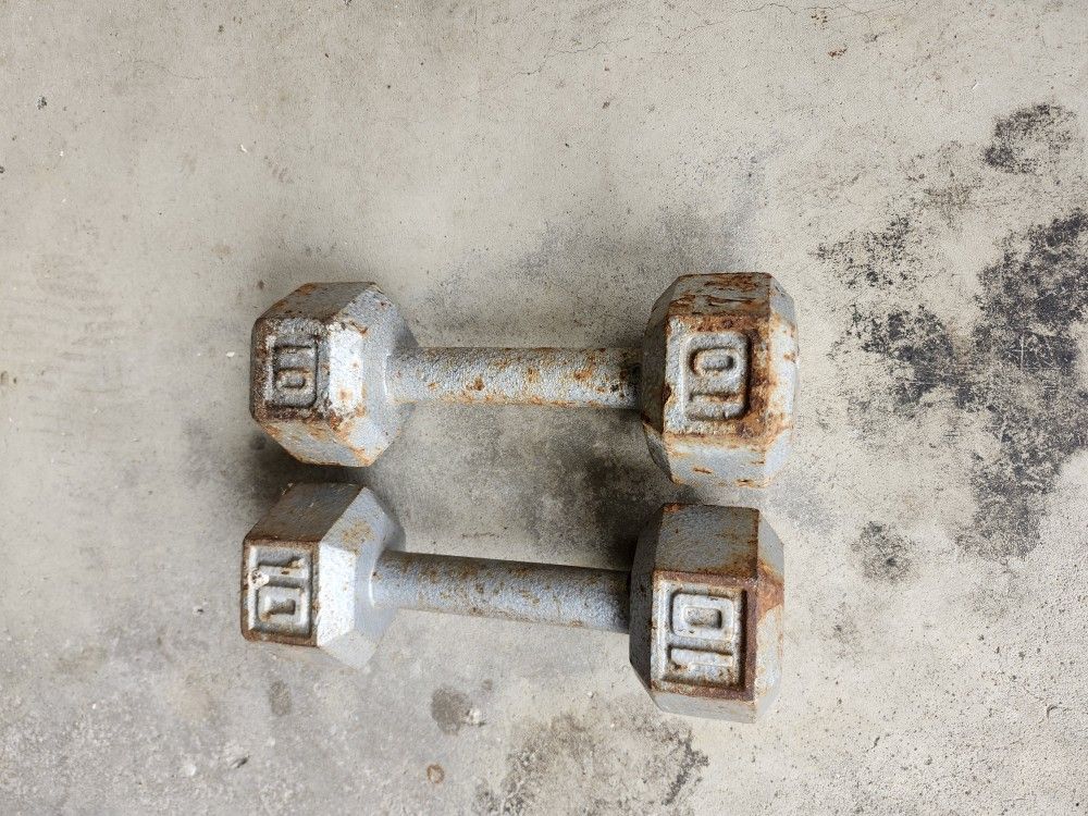 10lb Dumbbells