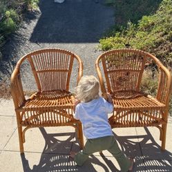 Rattan Chairs