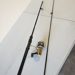 Fishing Rod And Reel