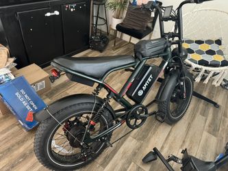 Dual Motor E-bike