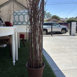 Fake Plant 