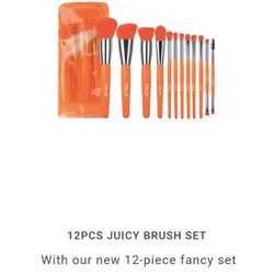 12 Piece Makeup Brushes Set "Juicy"