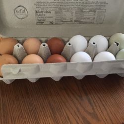 Fresh farm eggs (Landon’s egges)
