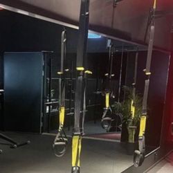 Brand NEW Original TRX