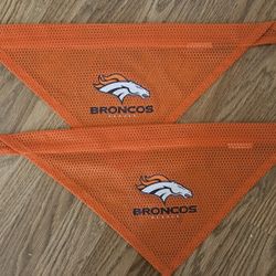 Small Denver Broncos Dog Bandanas (2)