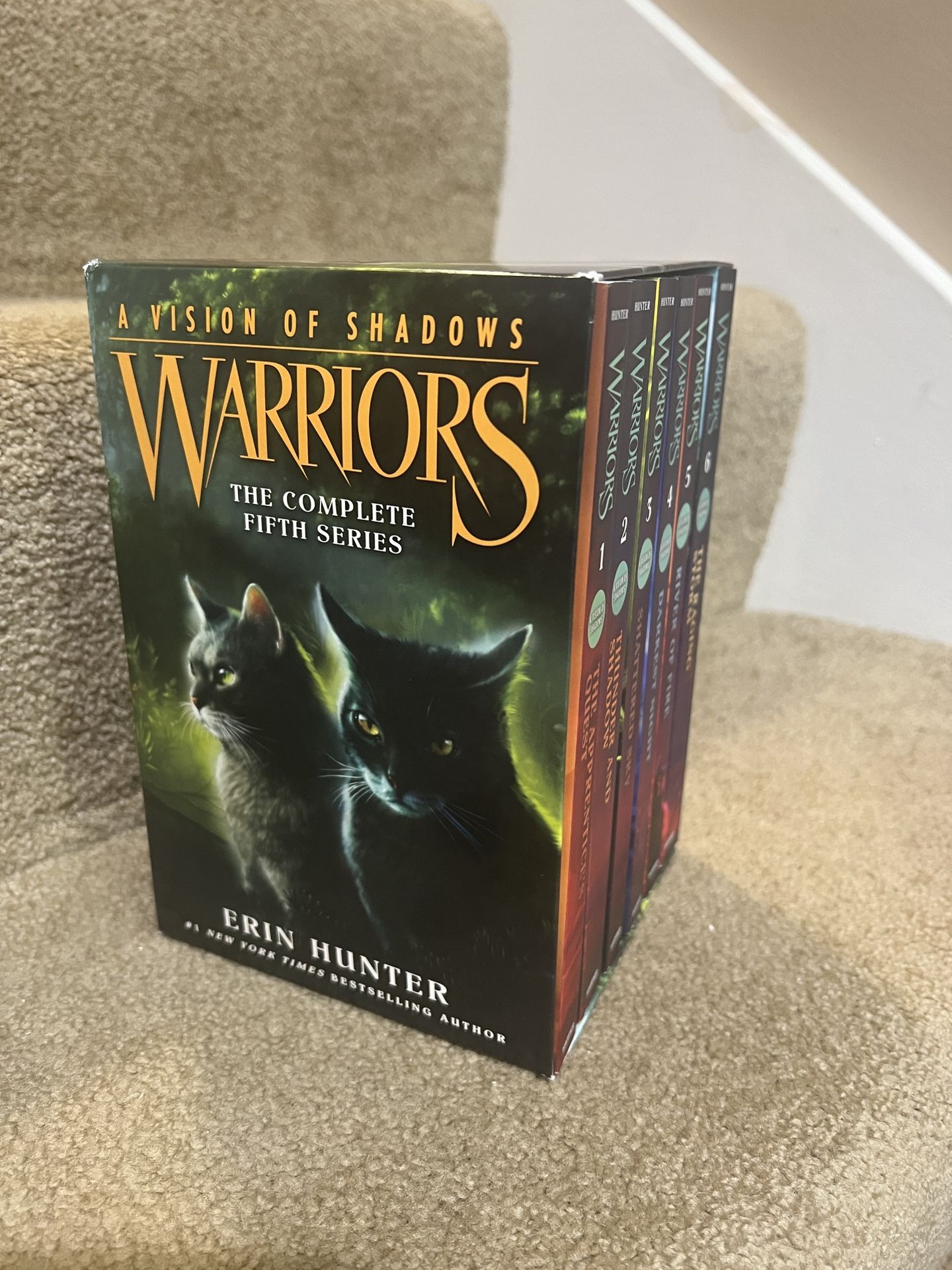 Warriors: a Vision of Shadows Box Set: Volumes 1 To 6 by Erin Hunter (paperback)