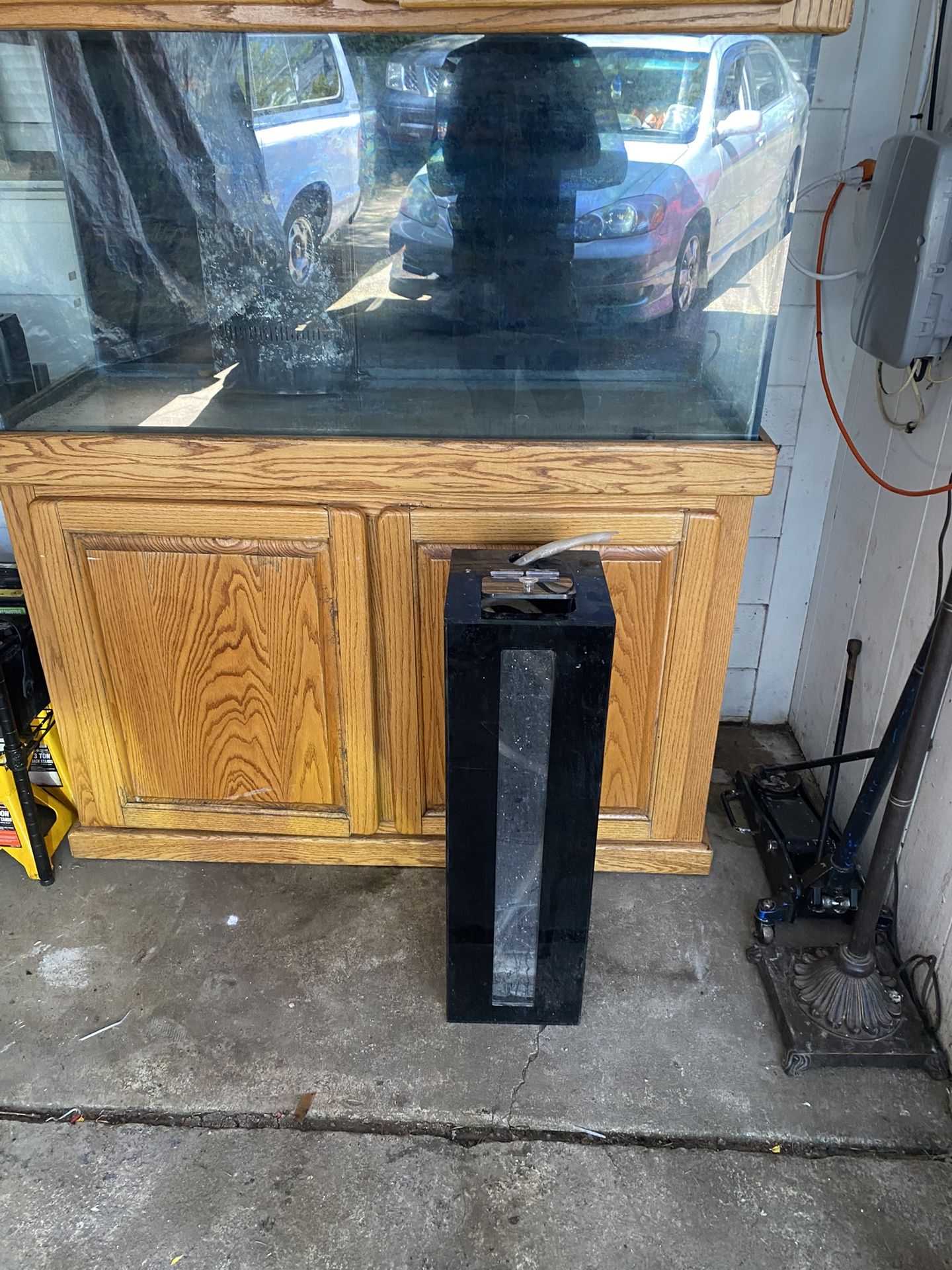 Saltwater Fish Tank With