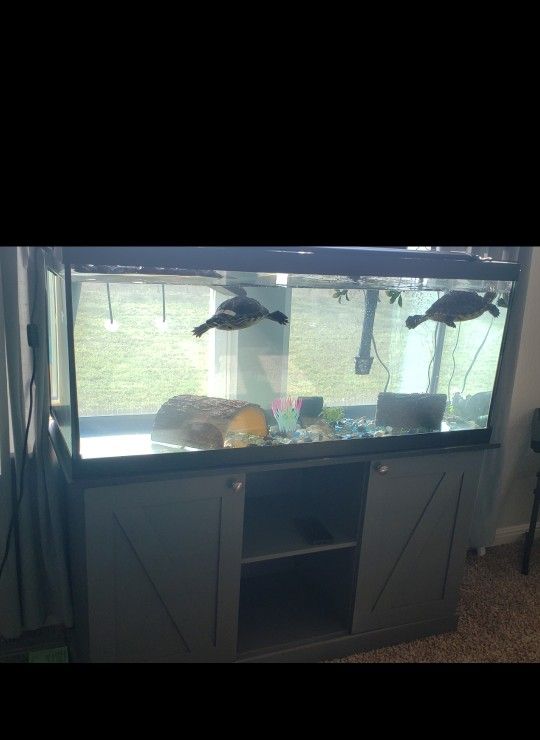 Two Red Ear Slider Turtles, Aquarium With Stand, Filter & All Accessories