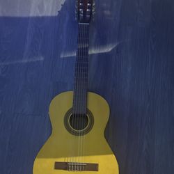 Acoustic Guitar