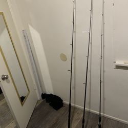 Fishing Rod / Pole