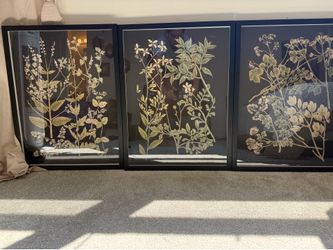 Set of 3 Framed Botanical Wall Art Prints – Black Frames