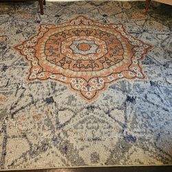 Large Area Rug For Sale