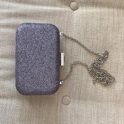 Glittery purse