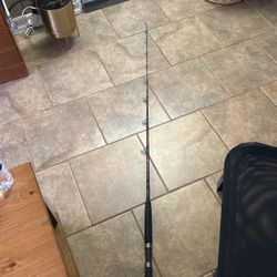Ugly Stick Black Tiger Rod
