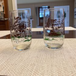 Davy Crockett Glasses