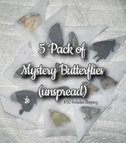 5 Pack Of UNSPREAD Butterflies 