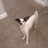 Amy