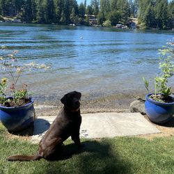 Custom-Designed Planter Pots (part III)