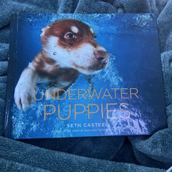 Cute Book Of Diferentes Dogs Under Water For Kids