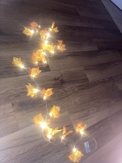 Fall Leaf Lights 