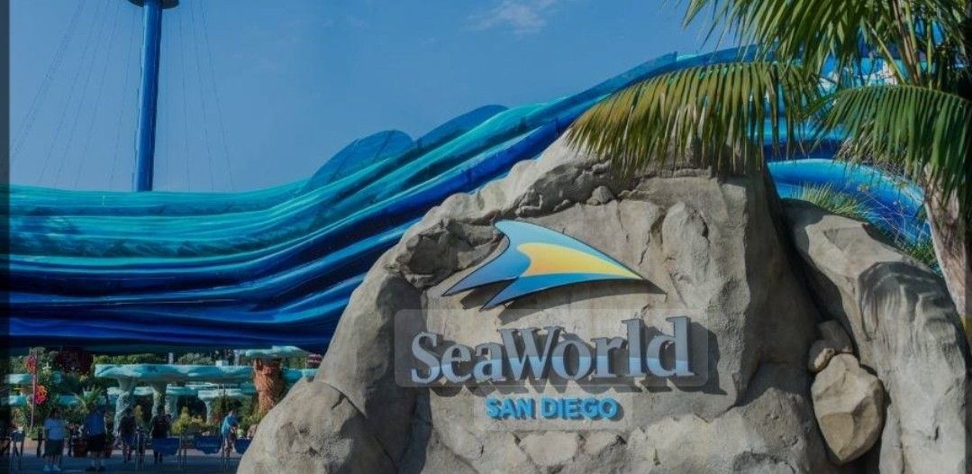 2 SeaWorld Tickets For Today