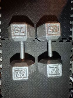 75lbs Dumbells Weights