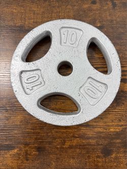 10lbs Standard 1 inch Grip Plate Silver 8in Diameter Used Single Plate 10 Pounds