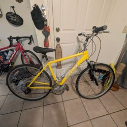 Adult bicycle