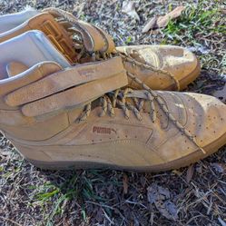 shoes