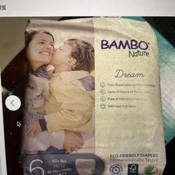 2 Packs – Bambo Nature Dream Training Pants, Size 6 (40+ lbs / 18+ kg)