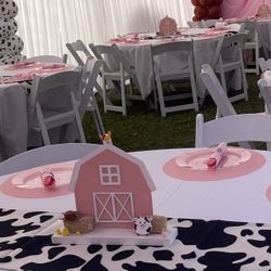 Pink Barn Center Pieces 