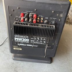 Polk Audio PSW 300 Perfect For A Garage Or Anywhere