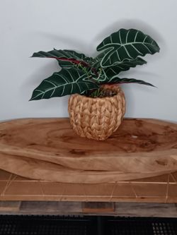 Fake plat