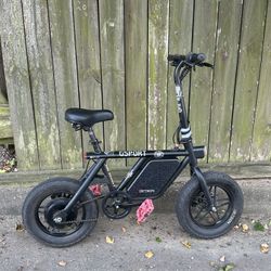 electric bike / e-bike 