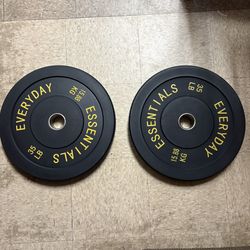 35lb Olympic Bumper Weight Plates