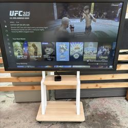 NEC TV With Mobile Stand