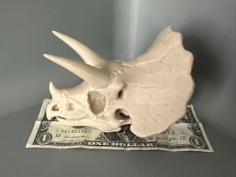 Dinosaur Fossils Skull Replica 3D Prints