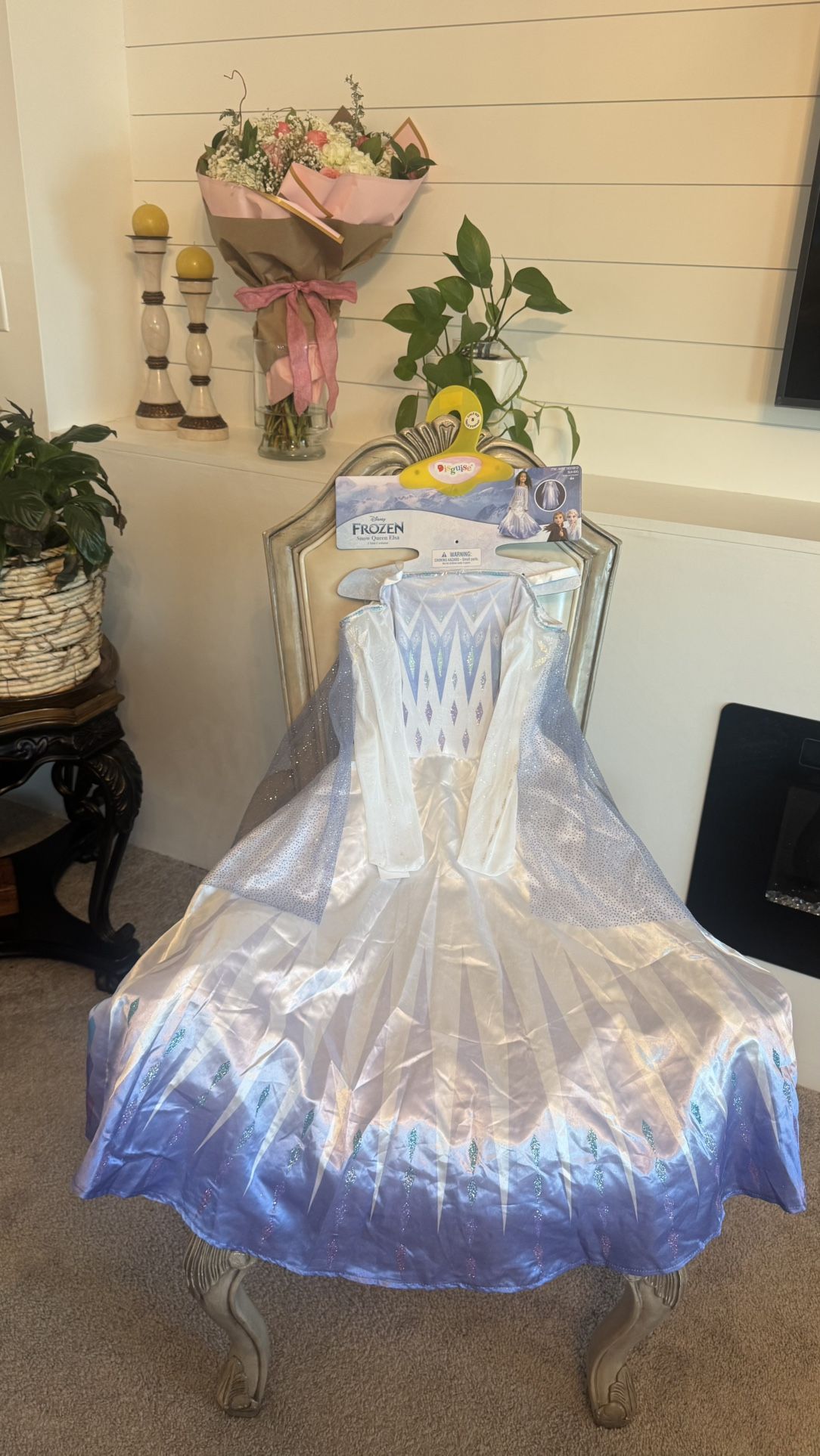 Elsa Costume