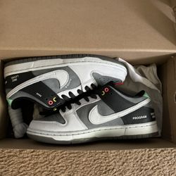 Nike SB Dunk Low Camcorder Size 6.5