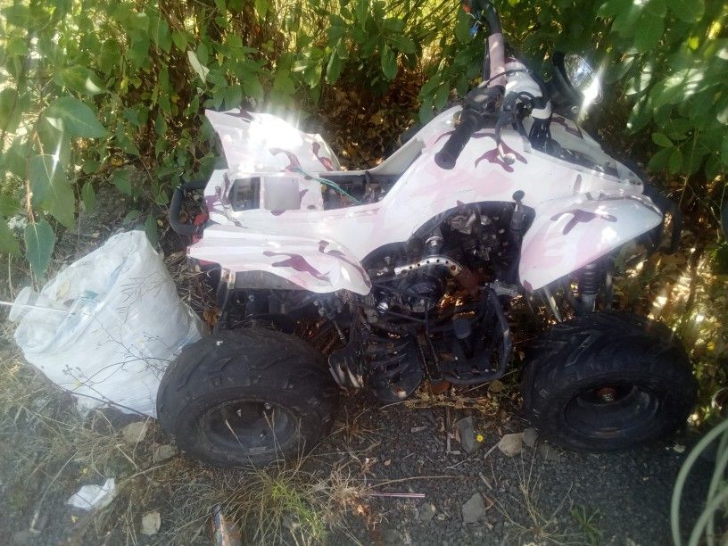 Girls 80cc Quad
