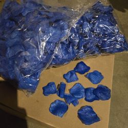 Blue Rose Petals