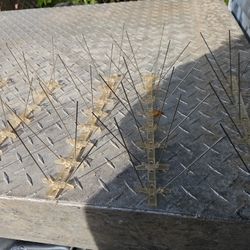 Byrd Pigeon Metal Spikes 1feet Of 25pcs.