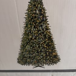 Indoor Xmas Tree