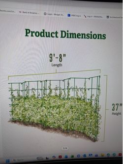 Trellis for growing Vegetables