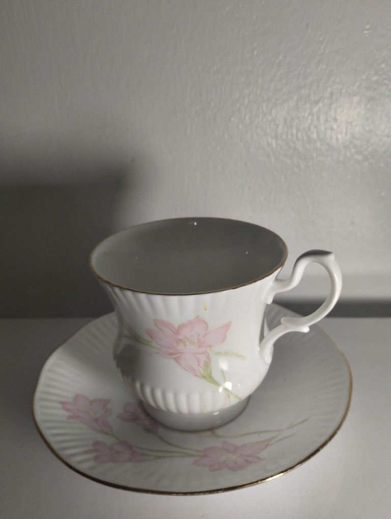 BONE CHINA ENGLAND PORCELAIN TEA CUP SET